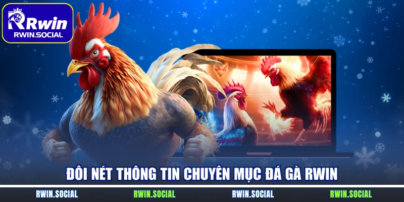 Đôi nét thông tin chuyên mục đá gà RWin